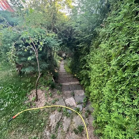 Pri Vodarenskom Tajchu Banska Stiavnica