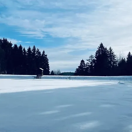 Pri Vodarenskom Tajchu