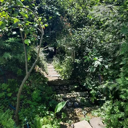 Pri Vodarenskom Tajchu